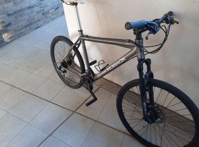 Hybrid Bike