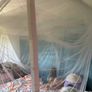 Canopy double bed with mosquito net Image 3