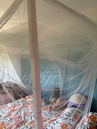 Canopy double bed with mosquito net