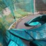 10ft Trampoline Image 5