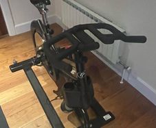RealRyder Exercise Bike
