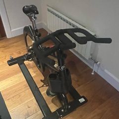 RealRyder Exercise Bike