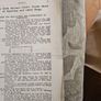 Catalogues Of The 10th & 11th Irish Kennel Club Shows 1931-32. Plus To Stud Cards For Dogs. Paperbacks In Only Fair Condition.  See Photos For Same. Image 8