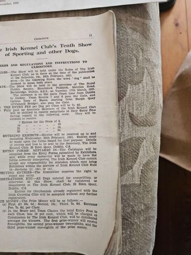 Catalogues Of The 10th & 11th Irish Kennel Club Shows 1931-32. Plus To Stud Cards For Dogs. Paperbacks In Only Fair Condition.  See Photos For Same.
