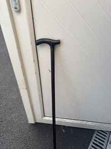 walking stick