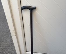 walking stick