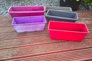 Five colourful autumn window boxes