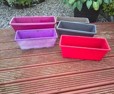 Five colourful autumn window boxes