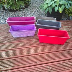 Five colourful autumn window boxes