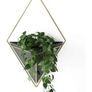 Red Teal Yellow Wall metal planter XL Image 2