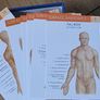Anatomy Flash Card Bundle  Brand New  80 for Both Image 5