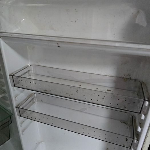 fridge