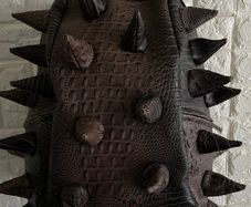 Mad Pax Backpack Large