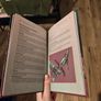 A Bug's Guide to the Shimmer Image 2