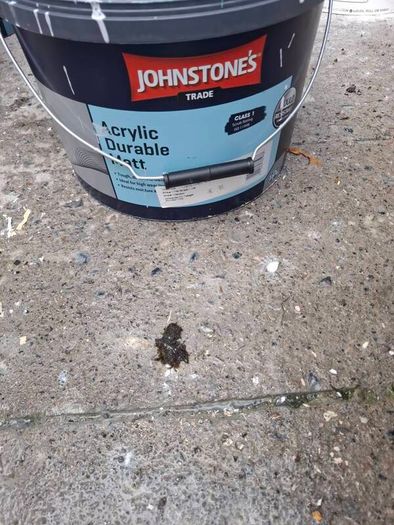 paint for sale