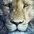 Narnia