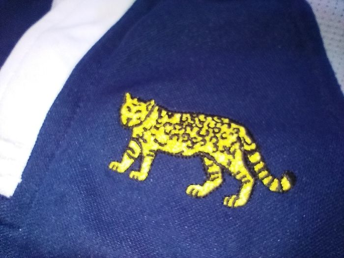 Player Issue Argentina Rugby Jersey Adidas - Vintage Retro Shirt Pumas Visa