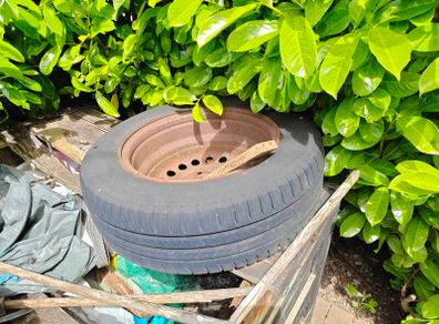 Old tire.
