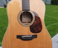 Takamine EF360S TT
