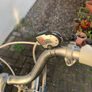 Bike Dawes  Folding Image 10