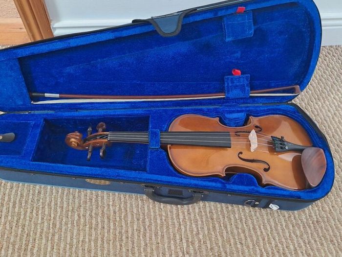 Violin