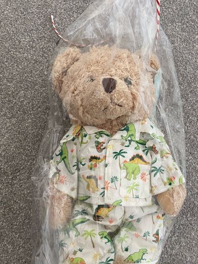 Powell Craft Teddy in pjs BNWT