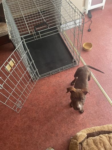 Crate Large