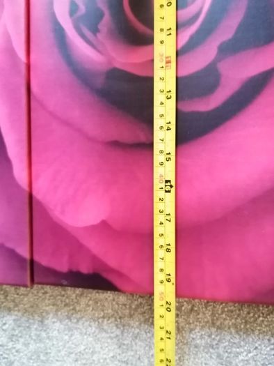 3 piece Canvas wall art
