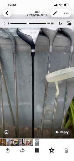 golf clubs and bag Free