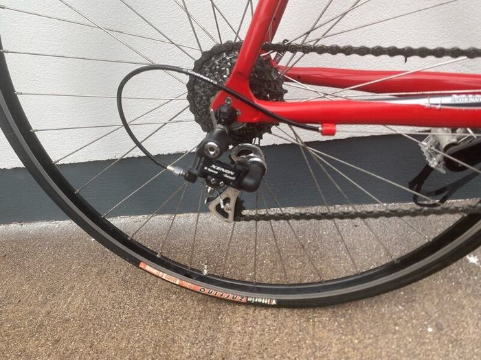 Giotto Road Bike