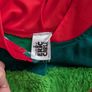 The Hungry Caterpillar Costume Image 3