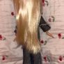Bratz 20 Years Cloe Image 2