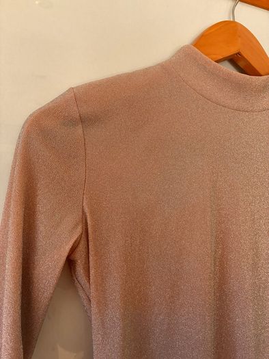 Reformation Bailey turtle neck