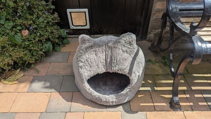 Cat beds x 2
