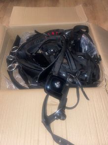 Shetland harness
