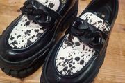 Creeper shies