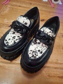 Creeper shies