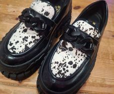 Creeper shies