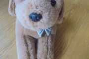 Cuddly Guide Dog Puppy for Sale
