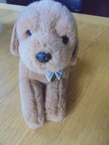 Cuddly Guide Dog Puppy for Sale