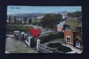 Ireland Postcard : Cork Park ( Fitzgeralds Park on The Mardyke ) , 1914