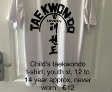 Kids taekwondo t shirt