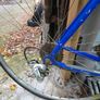 Fondriest Classic Race Bike Image 4