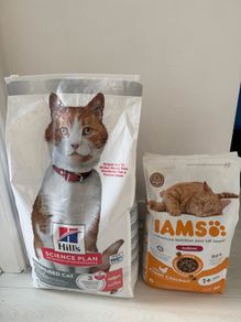 Cat Food