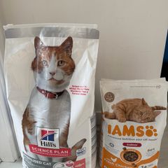 Cat Food