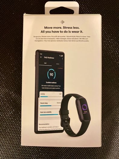 Google Fitbit, fitness and lifestyle tracker.
