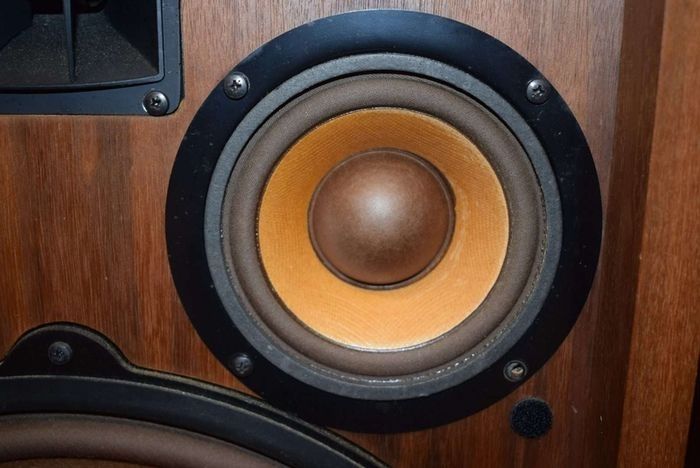 Hifi Gold Legendary Pioneer Flagship beasts CS-99A 15" Drivers 25KG Mega Rare they don't make them like this no more