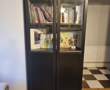 bookcase with panel glass door