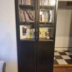 bookcase with panel glass door