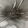 wall art Image 2